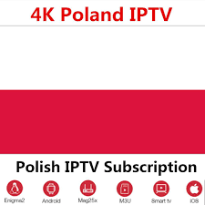 Polish IPTV 12 Months Subscription 4K M3U
