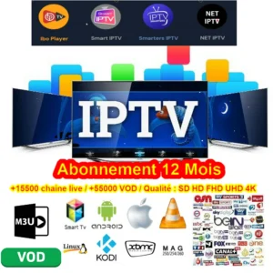 Bridge IPTV